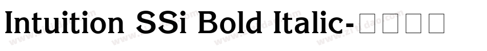 Intuition SSi Bold Italic字体转换